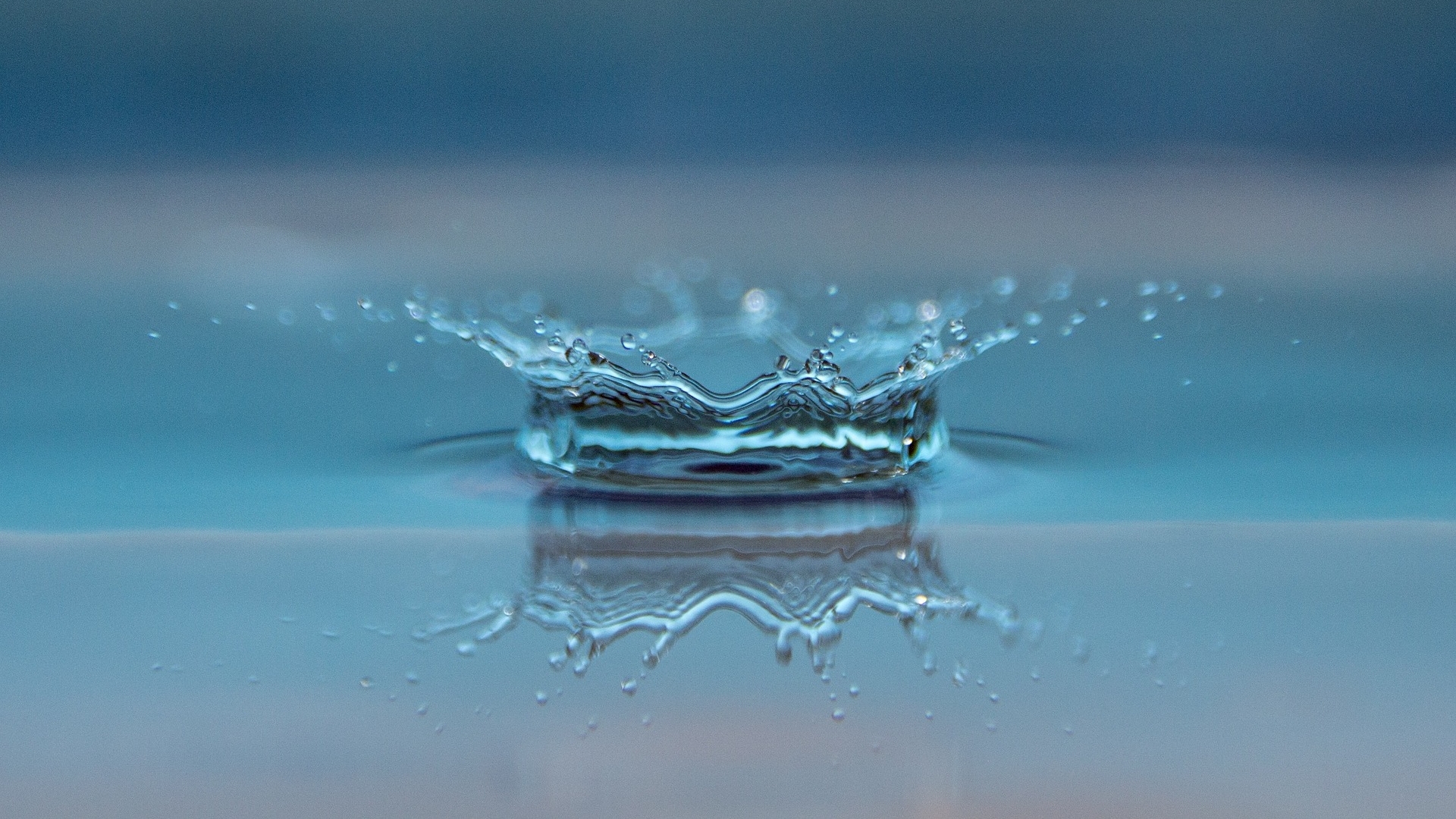 First Mover Asia: Crypto Liquidity Providers Can Be Profitable by Considering Trade Volume, Volatility and Other Factors, Data Firm Says 