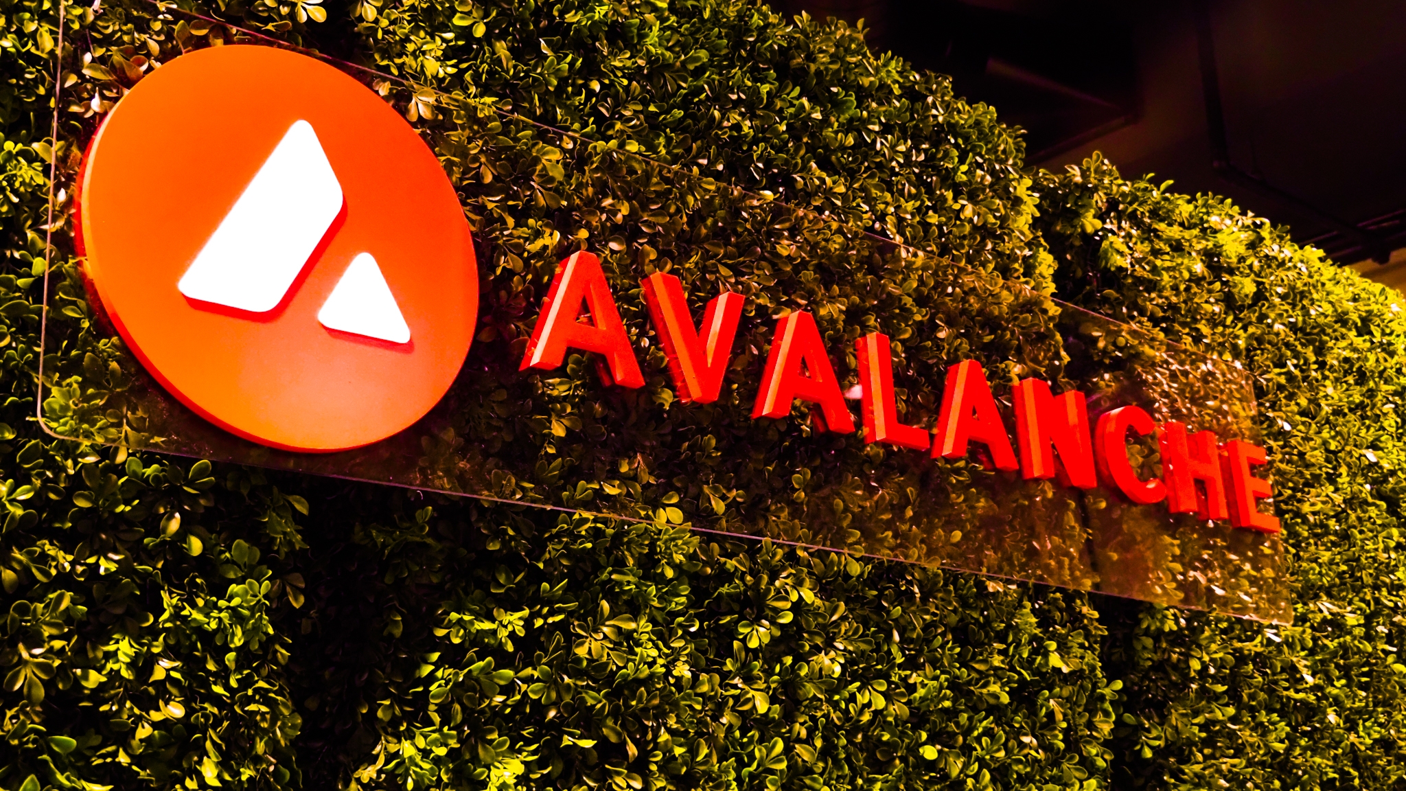 Avalanche’s Cortina Upgrade Goes Live on Protocol’s Testnet; AVAX Token Rallies