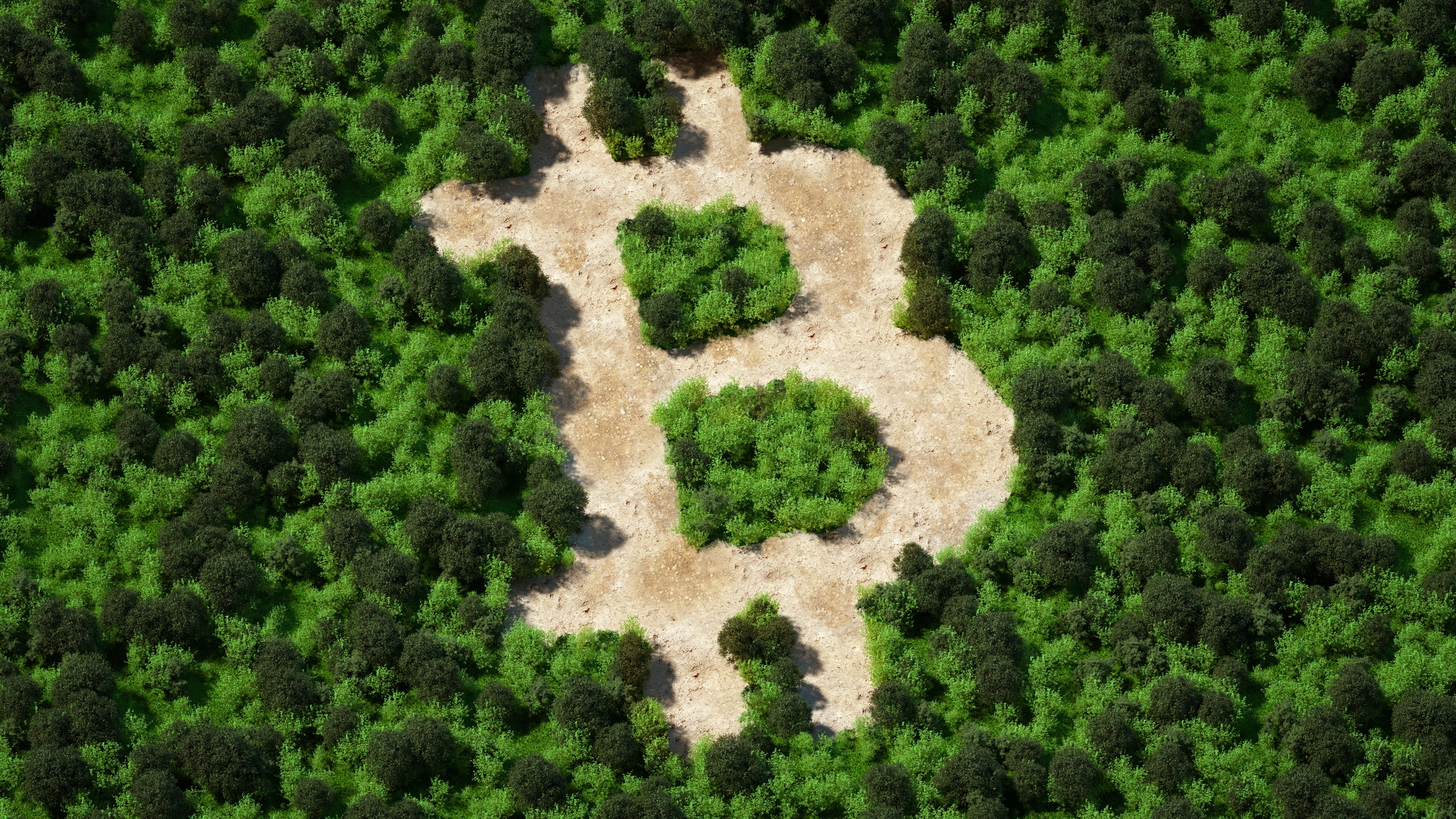 Bitcoin Should Be Central to Regulation of Digital Assets