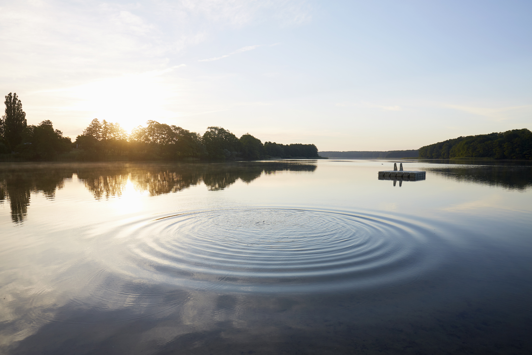 Ripple's Effect on Financial Advisors 